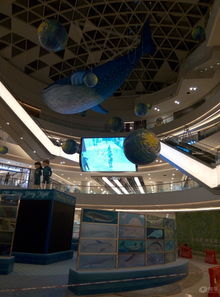 易車湖南車友會 駛入星城文創潮流，探索長沙城市新脈動